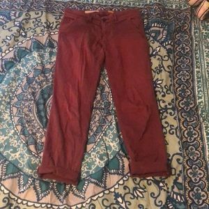 Anthropologie Chinos